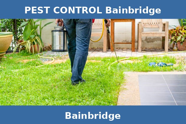 PEST CONTROL Bainbridge